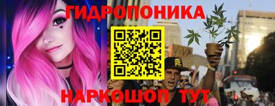 PSILOCYBIN Будённовск