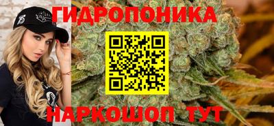 PSILOCYBIN Будённовск