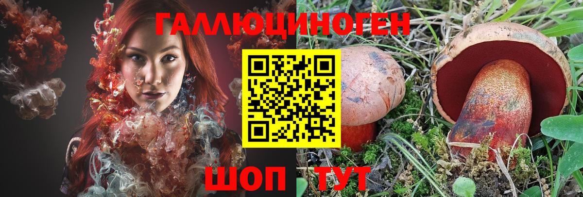 наркотики  Галлюциногенные грибы Psilocybine cubensis  Вход с VPN  Тавда 