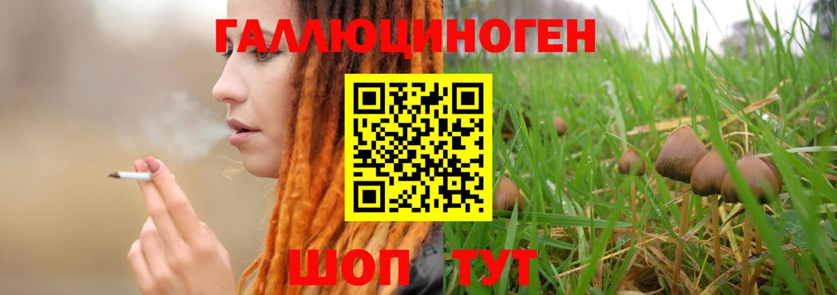 Псилоцибиновые грибы Psilocybe Тавда